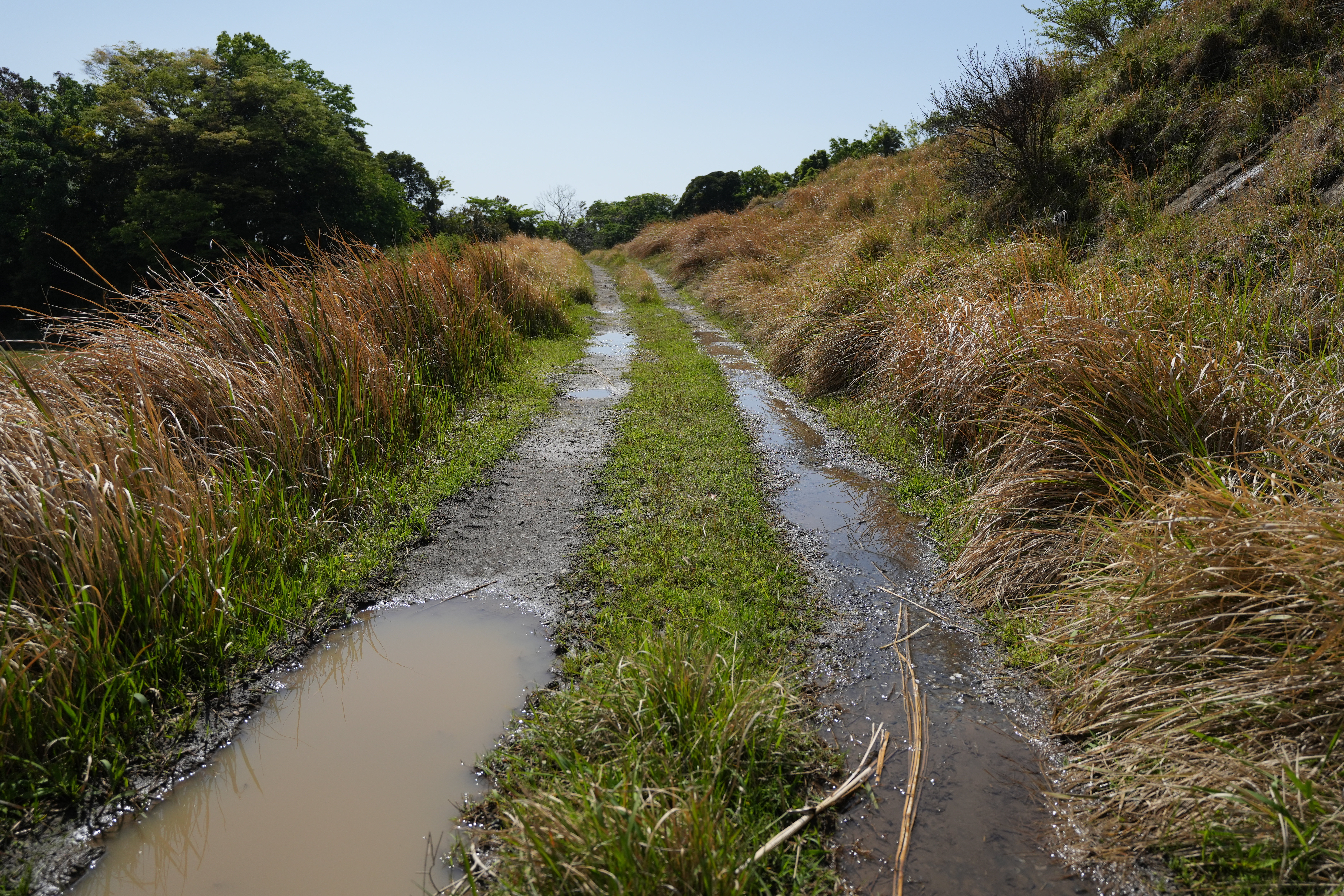 α7 IV　FE PZ 16-35mm F4 G（F4・1/5,000秒）ISO 400