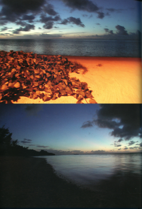 写真集「AI」（コンパス）2002年