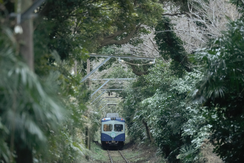 最初にお見せするBEST SHOTは、本銚子駅のホームから撮影したもの。まるでジャングルの中を走る軽便鉄道のような趣がたまりません。これが現代の風景だなんて、信じられないでしょ？<br>α7 IV　FE 70-200mm F2.8 GM OSS II（200mm） 絞り優先オート（F2.8、1/500秒）ISO 6400　WB:太陽光