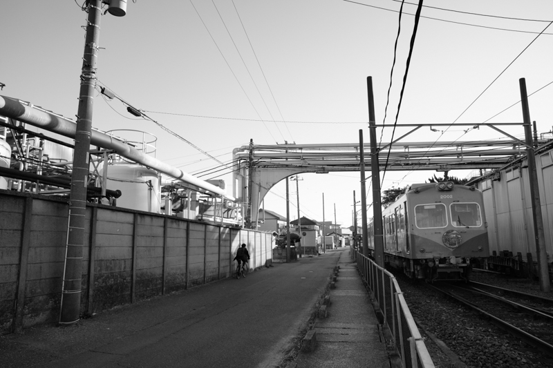 α7 IV　FE 24-70mm F2.8 GM（25mm） 絞り優先オート（F6.3、1/2,500秒）ISO 1600　WB:日陰