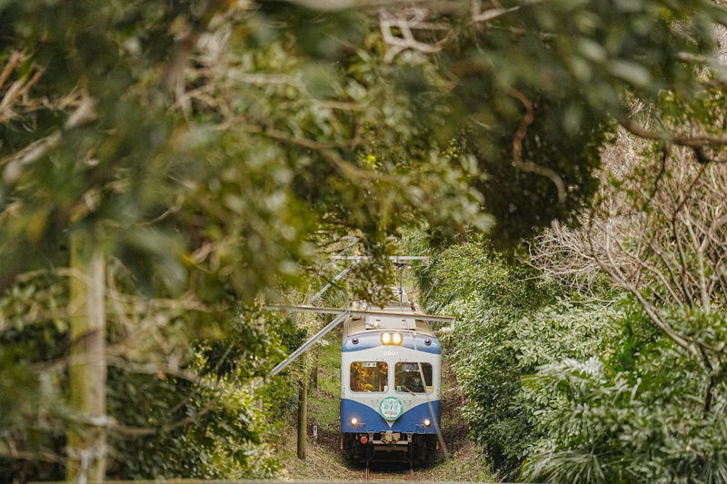 α7 IV　FE 70-200mm F2.8 GM OSS II（200mm） 絞り優先オート（F2.8、1/500秒）ISO 3200　WB:日陰