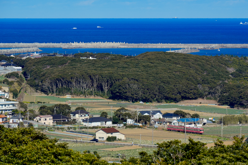 α7 IV　FE 70-200mm F2.8 GM OSS II（200mm） 絞り優先オート（F7.1、1/1,250秒）ISO 400　WB:太陽光