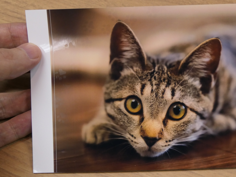 パターンオーバーコートを行ったプリント。光の加減でパターンが見える