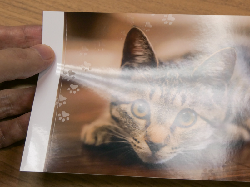 パターンオーバーコートを行ったプリント。光の加減でパターンが見える