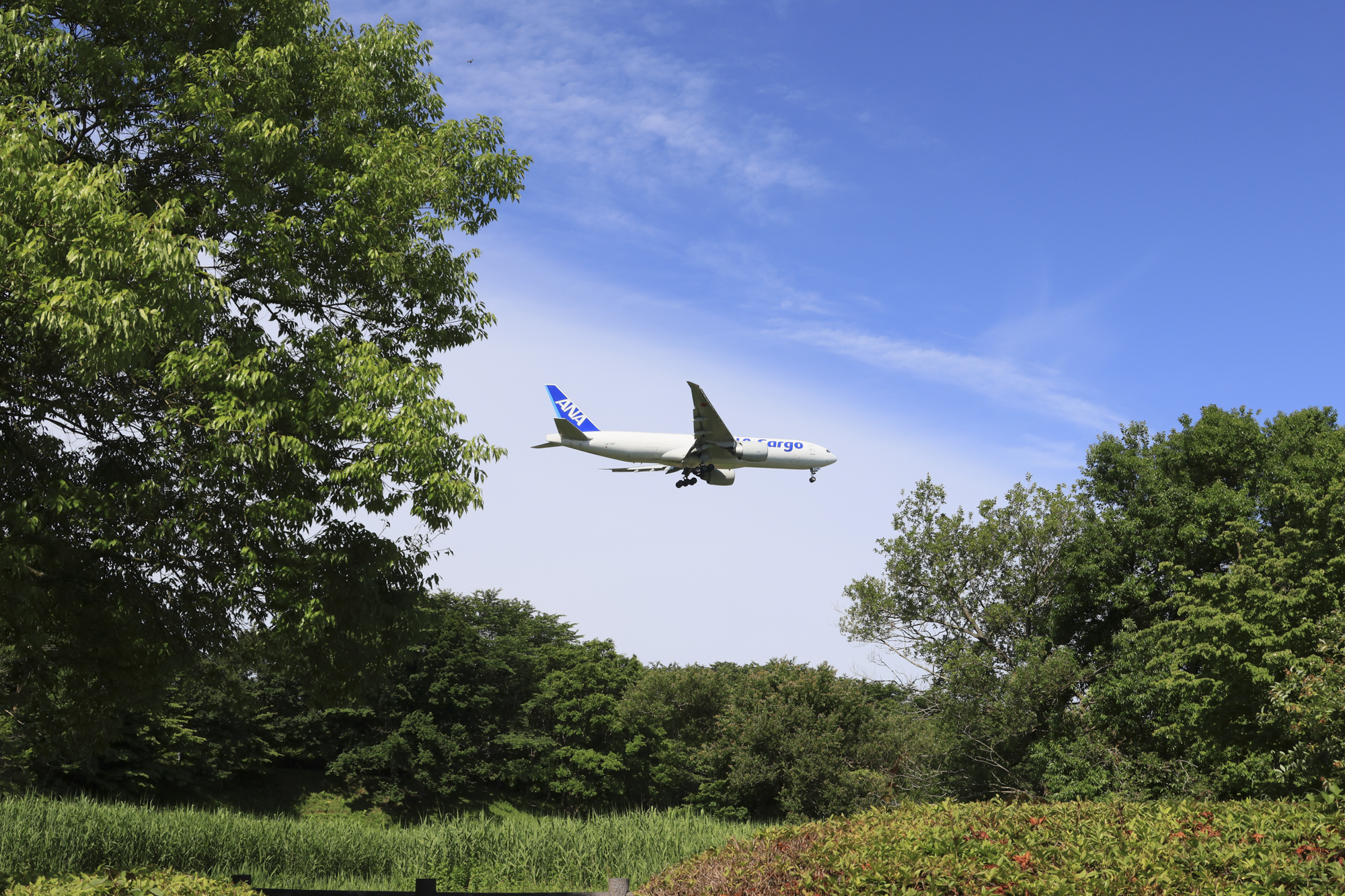 <span class="fnt-85">RF24-105mm F4 L IS USM/24mm（38mm相当）／マニュアル露出（F8、1/1,000秒）／ISO 320／WB:オート</span>