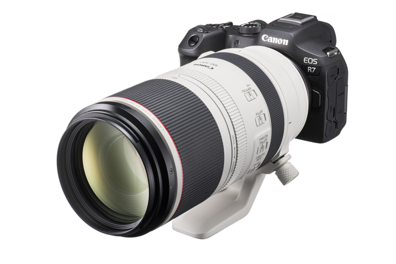 使用機材（RF100-500mm F4.5-7.1 L IS USM）