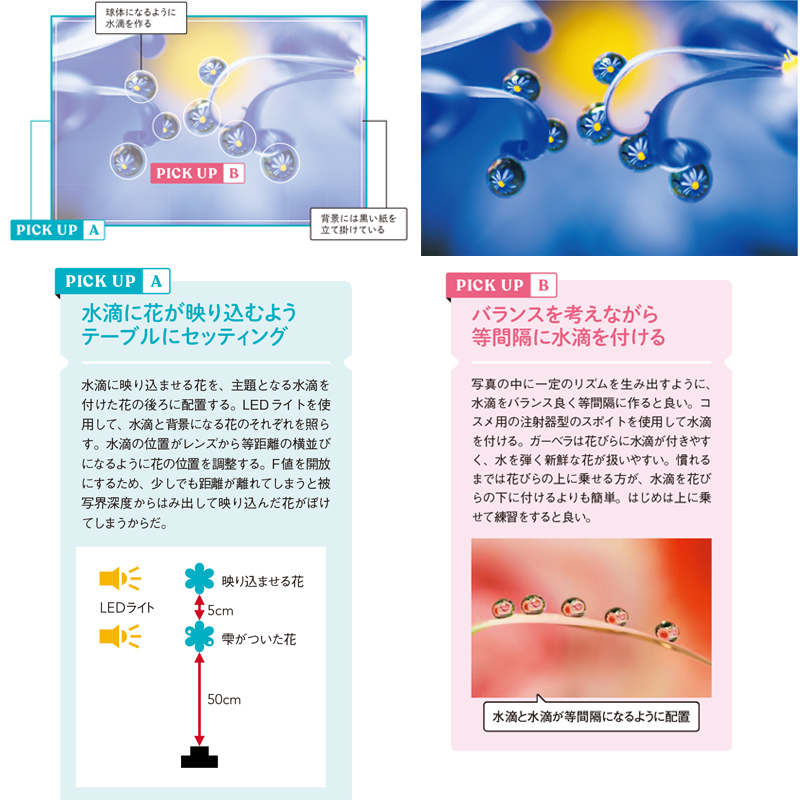 写真を撮るとき、レタッチで仕上げるときにキモになる部分は写真付きで細かく解説。