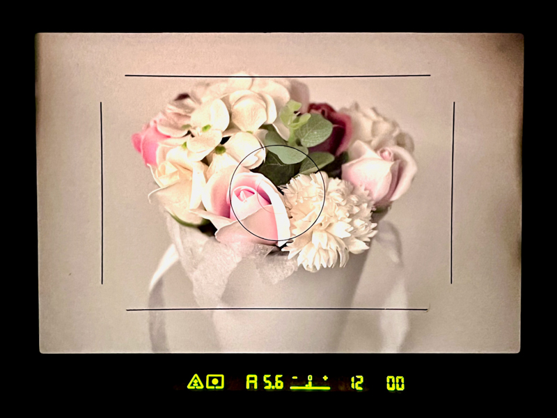 デジタルモジュールR専用のフォーカシングスクリーンには、撮影範囲のフレーム枠が表示されています。Mシリーズライカのフレームを見る感覚です。“写らない”周囲まで見ることができるからでしょう。けっこう気に入っています。