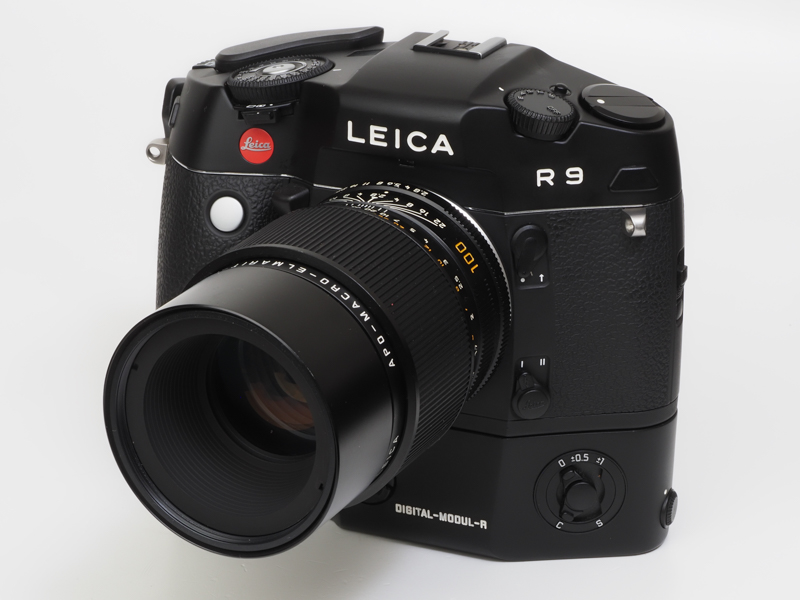 伝説のレンズですね。ライカでも一時入手困難なレンズでした。高いのに。でもライカRが不人気な時は、悪い冗談みたいな価格で売られてました。確かに素晴らしくよく写ります。<br>R9 - Digital Back DMR　アポ・マクロ・エルマリートR 100mm F2.8（F4・1/1,000秒）ISO 400