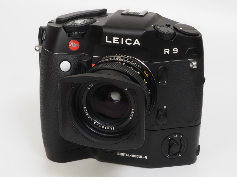 うちにあるライカRレンズでは一番設計が新しいかも。シャドーからハイライトまで良い階調の繋ぎ方ですねえ。でもデザインは嫌いだなあ。フォーカスリングはゴム巻きで白くなるし。組み込み型のフードを採用しているけど、すぐに引っ込むし。<br>R9 - Digital Back DMR　エルマリートR 28mm F2.8（F8・1/1,500秒）ISO 400
