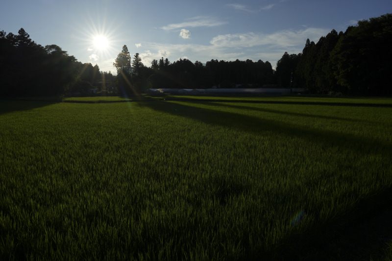 α7 IV／絞り優先（1/200秒・F16・-2.7EV）／ISO 100