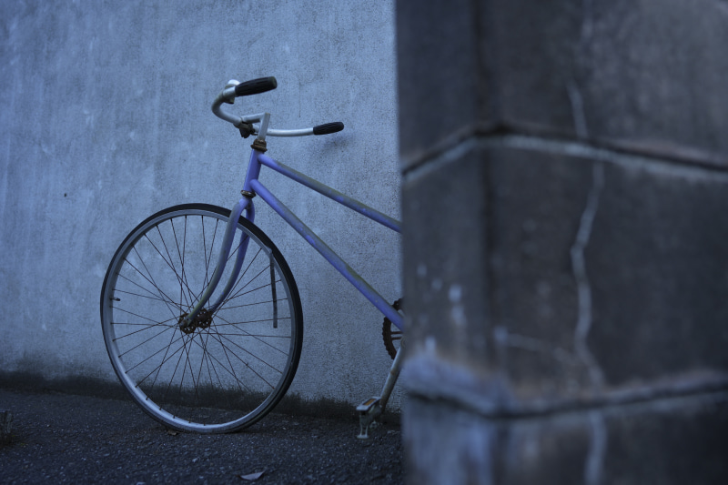 α7 IV／絞り優先（1/250秒・F2.0・-0.5EV）／ISO 100