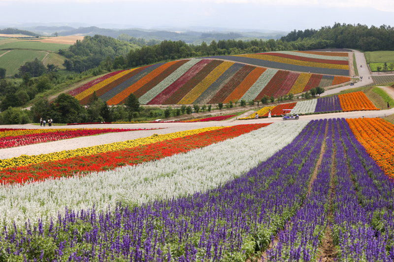 2つ目の撮影地は美瑛町