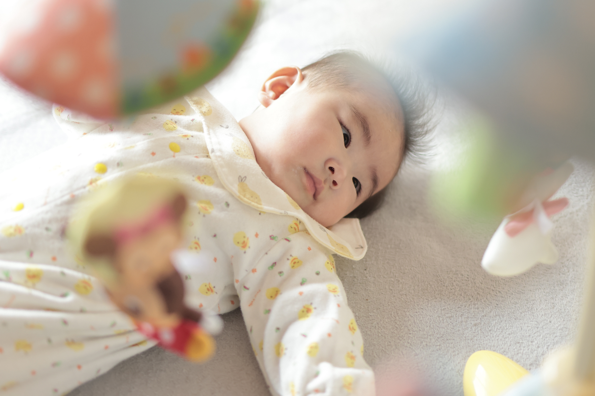 <span class="fnt-85">RF35mm F1.8 MACRO IS STM／35mm（56mm相当）／マニュアル露出 （F3.5、1/1,250秒）／ISO 1250／WB:オート</span>