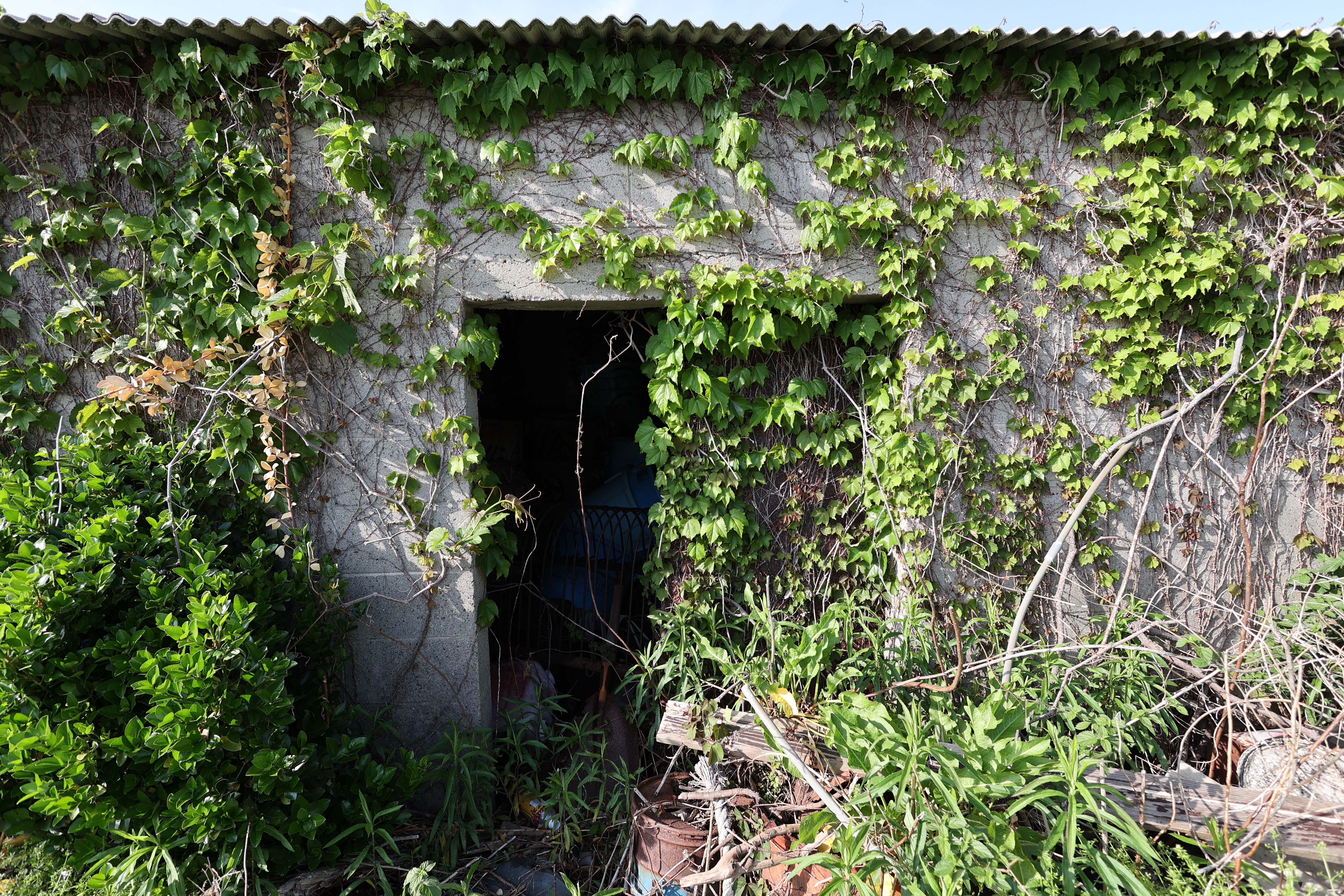 EOS R6　RF16mm F2.8 STM（F4・1/320秒）ISO 100