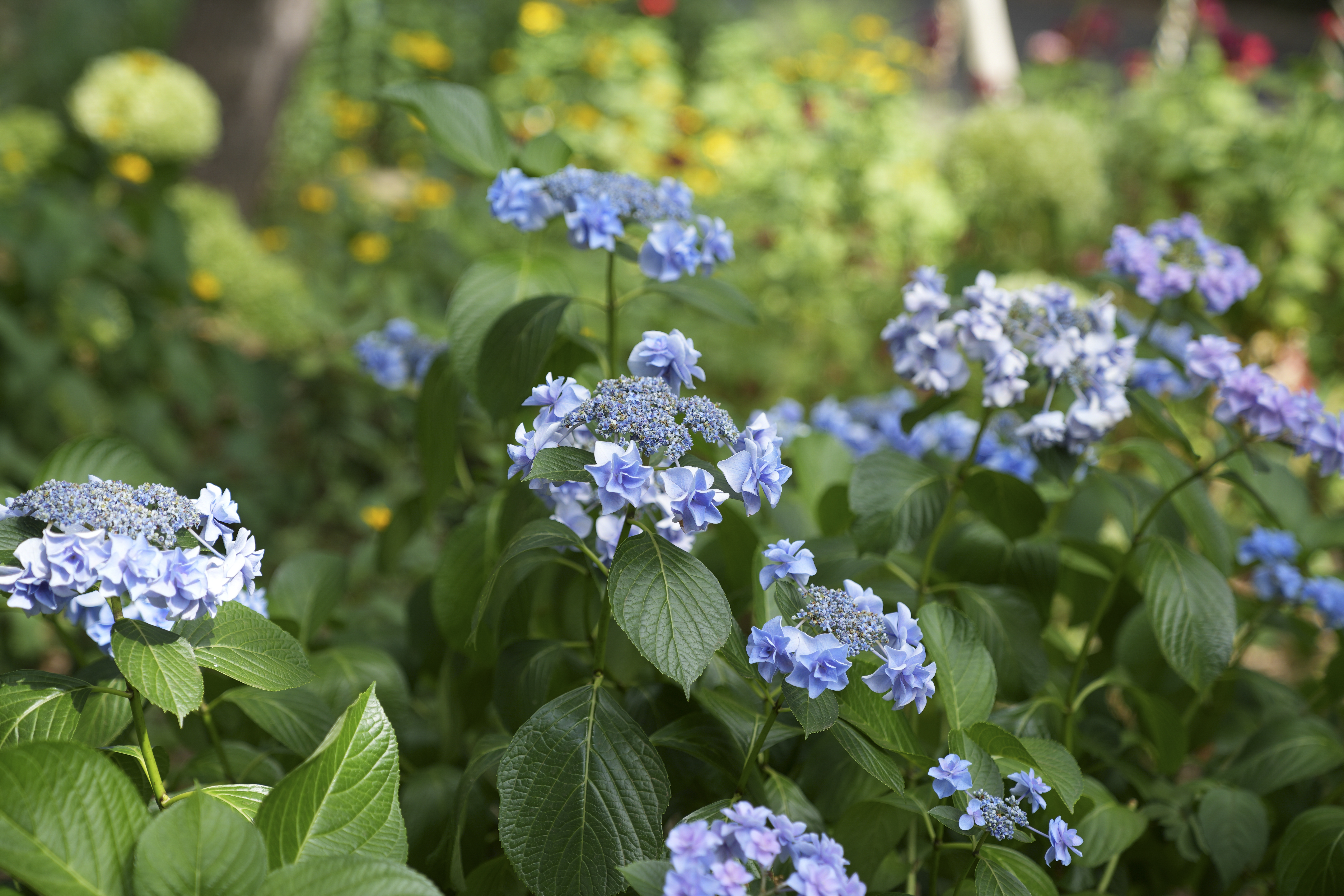 α7 IV／70mm／絞り優先（1/250秒・F2.8・+0.3EV）／ISO 100