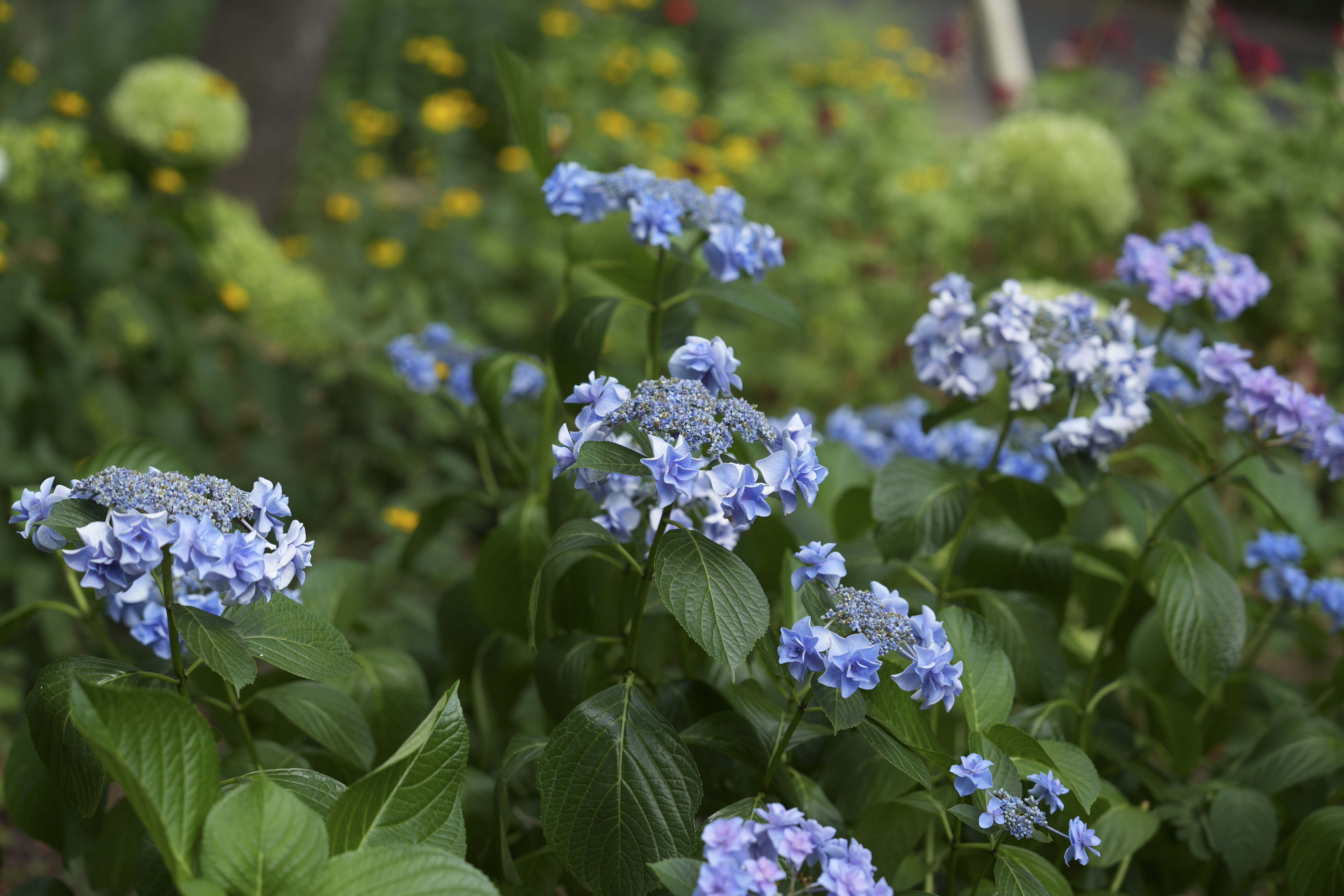 α7 IV／70mm／絞り優先（1/250秒・F2.8・+0.3EV）／ISO 100