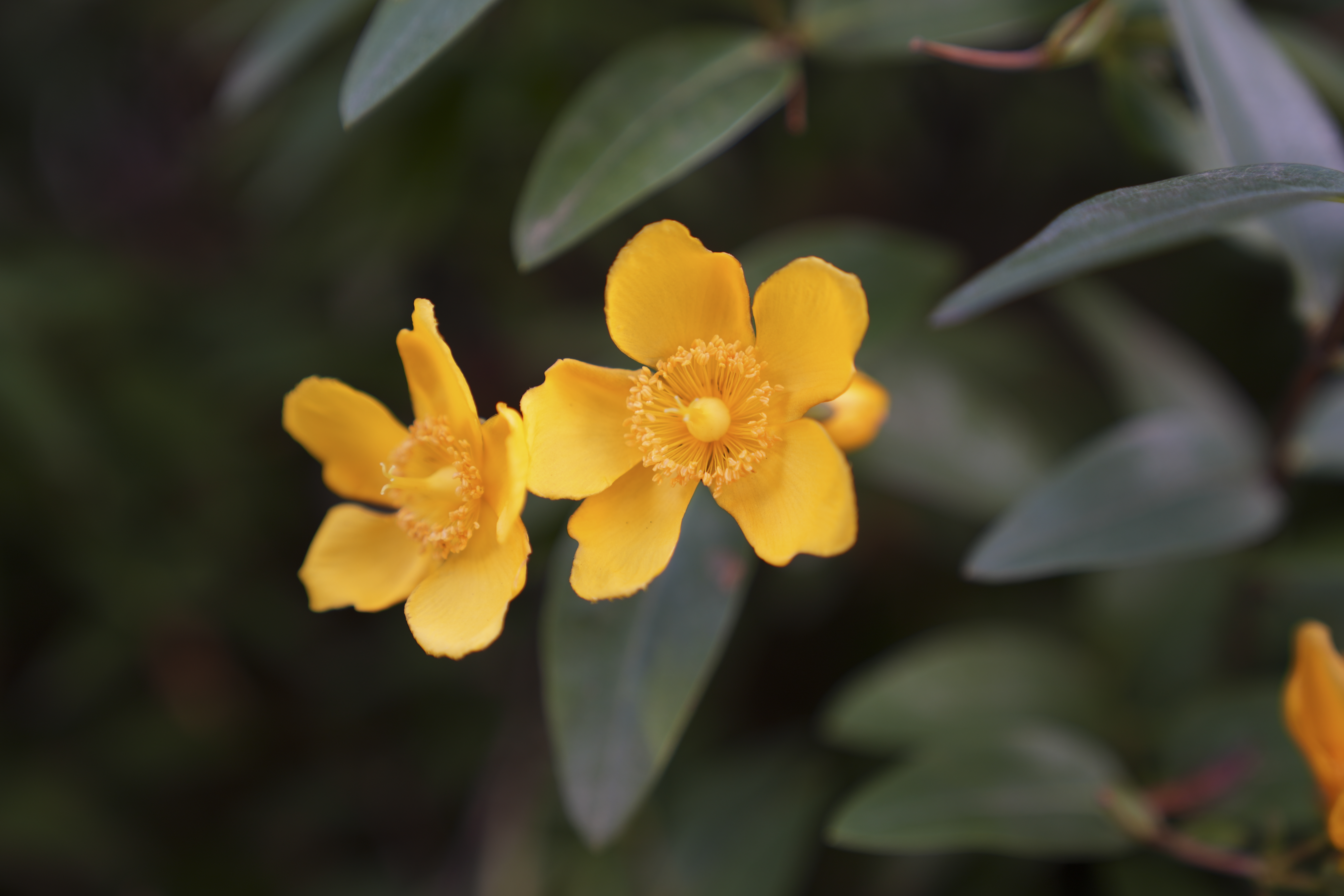 α7 IV／70mm／絞り優先（1/80秒・F2.8・-0.3EV）／ISO 100