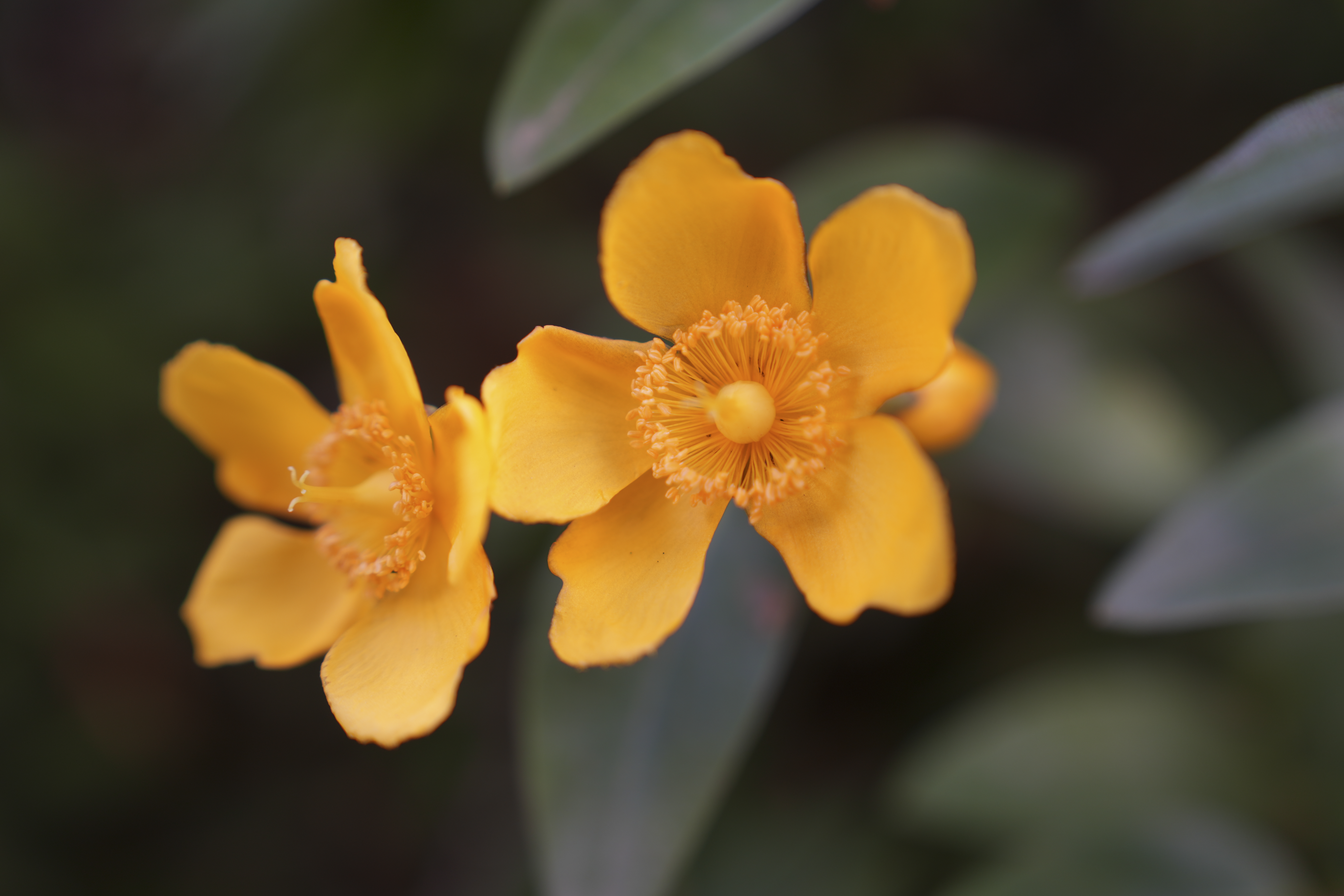 α7 IV／70mm／絞り優先（1/80秒・F2.8・±0.0EV）／ISO 100