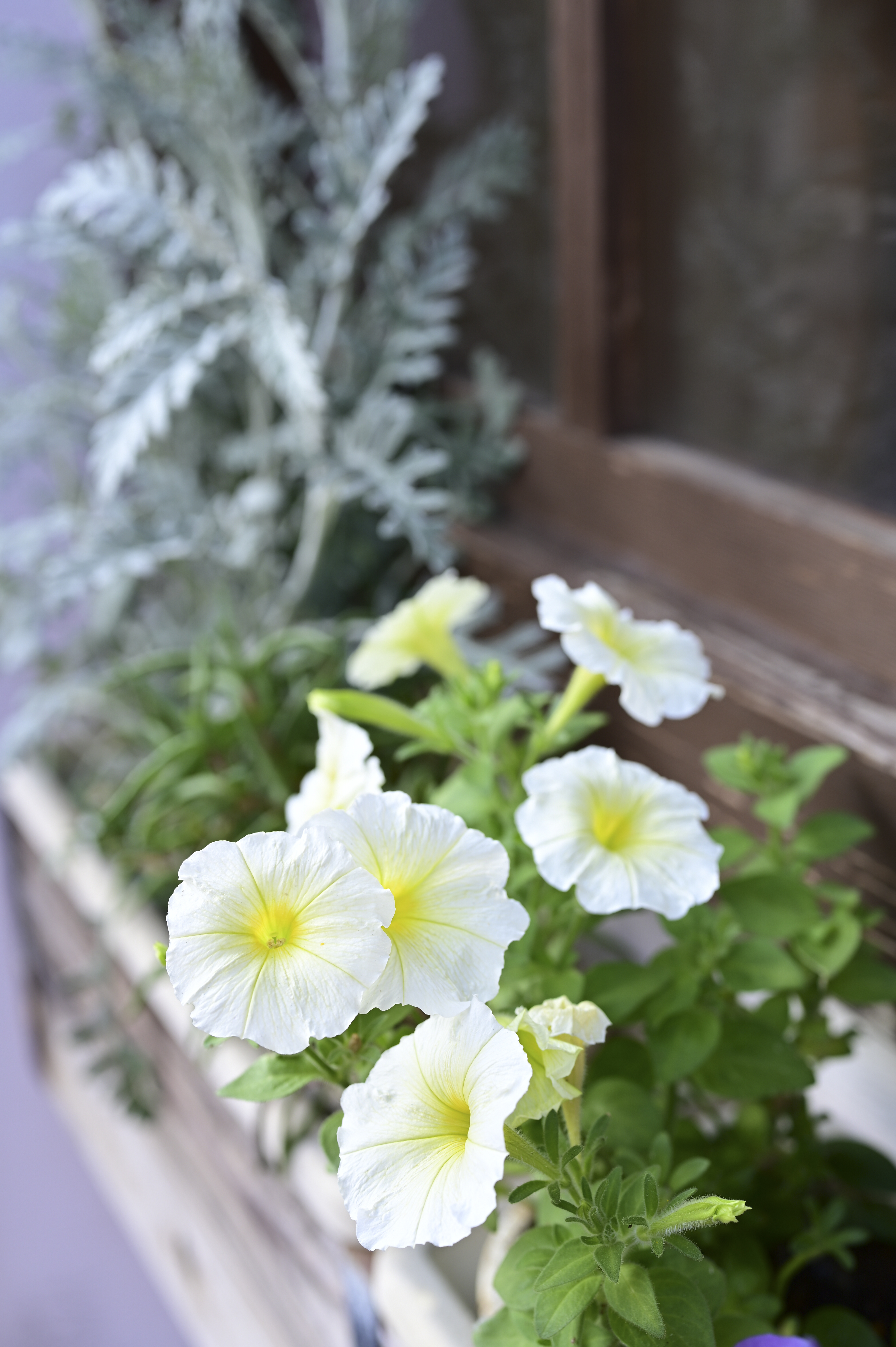 Z 6II／絞り優先（1/30秒・F5.6・+0.7EV）／ISO 100