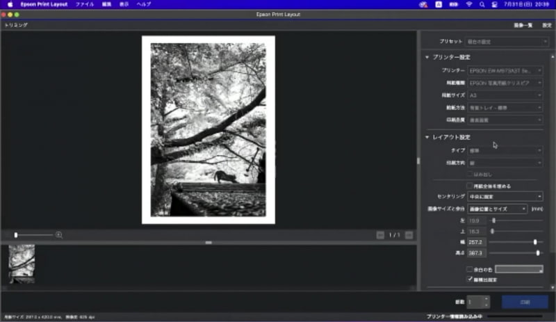 PCでのプリント作業は「Epson Print Layout」が使いやすい