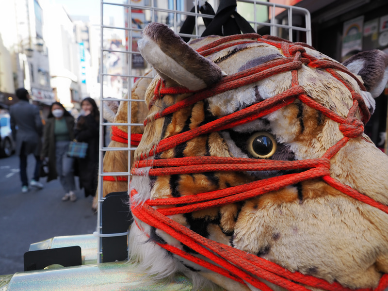 マイクロフォーサーズレンズは実焦点距離が短いこともあり、接写に強く、マクロレンズキラーでありますよね。移動の合間に軽く撮影してみました。<br>OM-1　M.ZUIKO DIGITAL ED 12-40mm F2.8 PRO II（F4・1/200秒）ISO 200