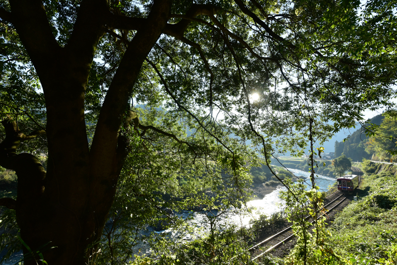 ニコンD750　AF-S DX Zoom-Nikkor 12-24mm f/4G IF-ED（16mm） 絞り優先オート（F10、1/250秒）ISO 400　WB：晴天