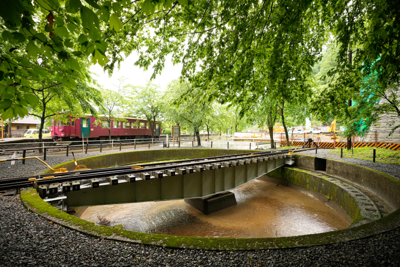 ソニーα1　FE 16-35mm F2.8 GM（16mm） 絞り優先オート（F3.5、1/250秒）ISO 1600　WB：日陰