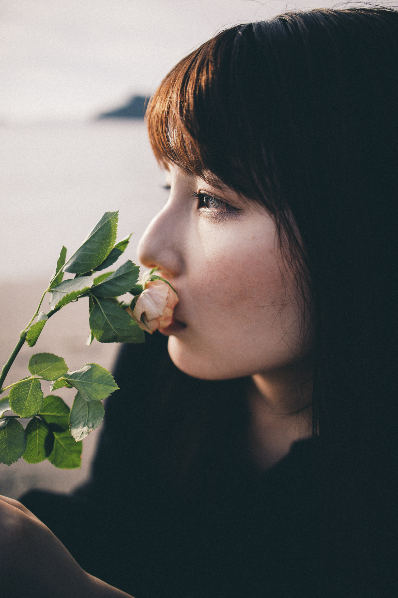 EOS R6／24mm／マニュアル露出（F1.8、1/5,000秒）／ISO 200／WB：オート