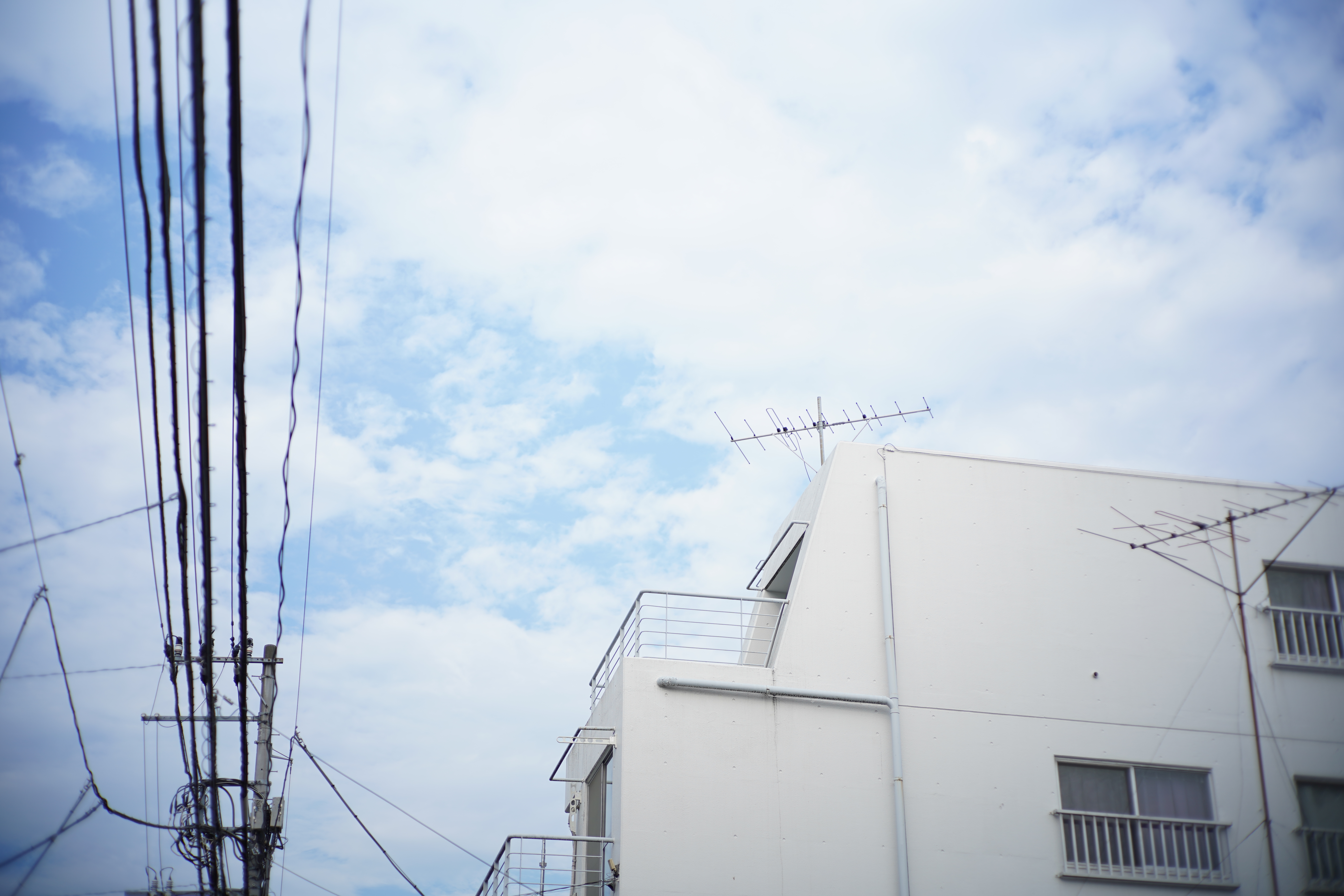 α7 III / マニュアル（F2・1/1,600秒）/ ISO 100