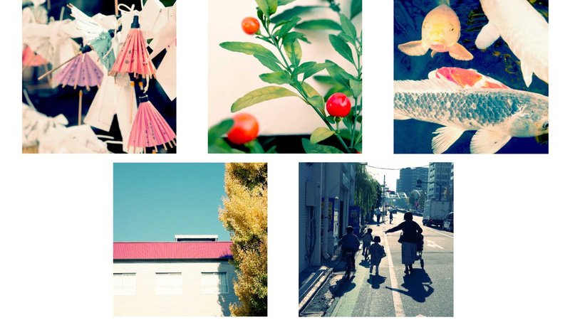 <a href="https://dc.watch.impress.co.jp/docs/review/minirepo/1410931.html">前回の記事で紹介した</a>、スクエア＋クロスプロセスの組み合わせ。コレクション感覚で、被写体を中心にして撮り溜めていくなら、40mmのようなクセのない焦点距離がいいと思う<br><span class="fnt-85">GR IIIx　プログラムAE（F5～11・1/60～125秒）ISO 400／クロスプロセス</span>