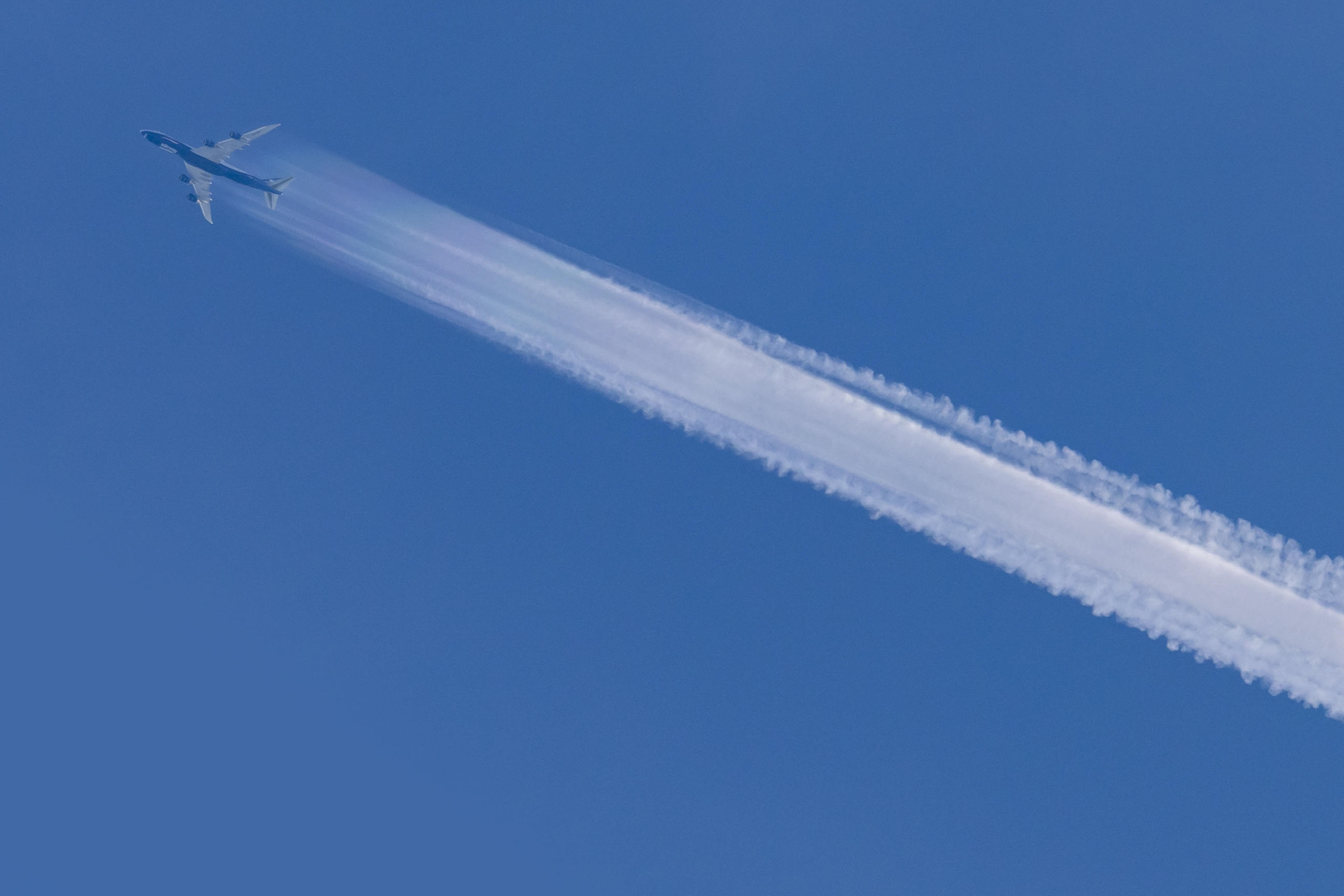 EOS R3（クロップ）／RF400mm F2.8 L IS USM／絞り優先AE（1/500秒・F8.0・-0.3EV）／ISO 400