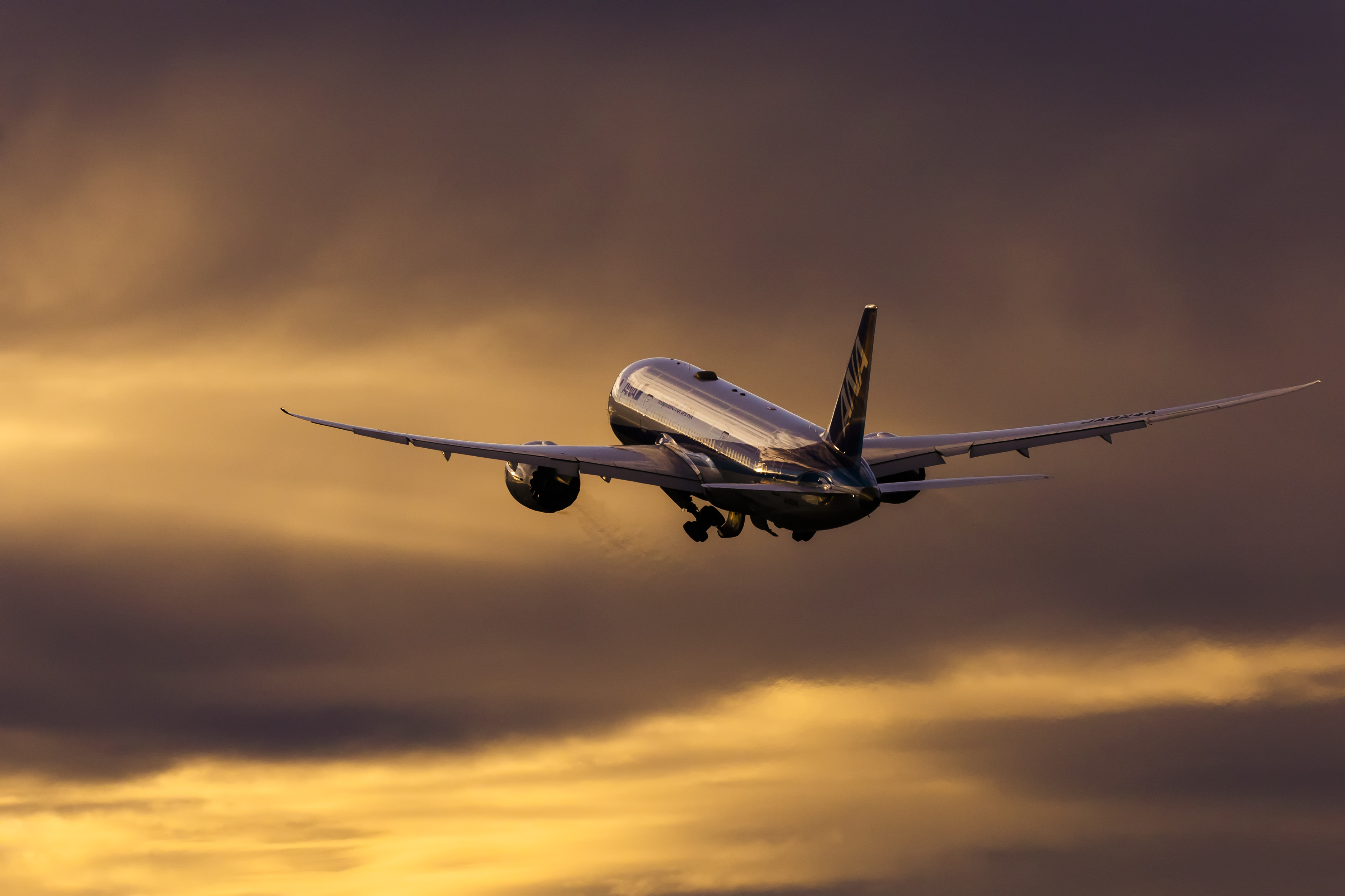 EOS R3／RF400mm F2.8 L IS USM（クロップ）／絞り優先AE（1/3,200秒・F8.0・-1.3EV）／ISO 500