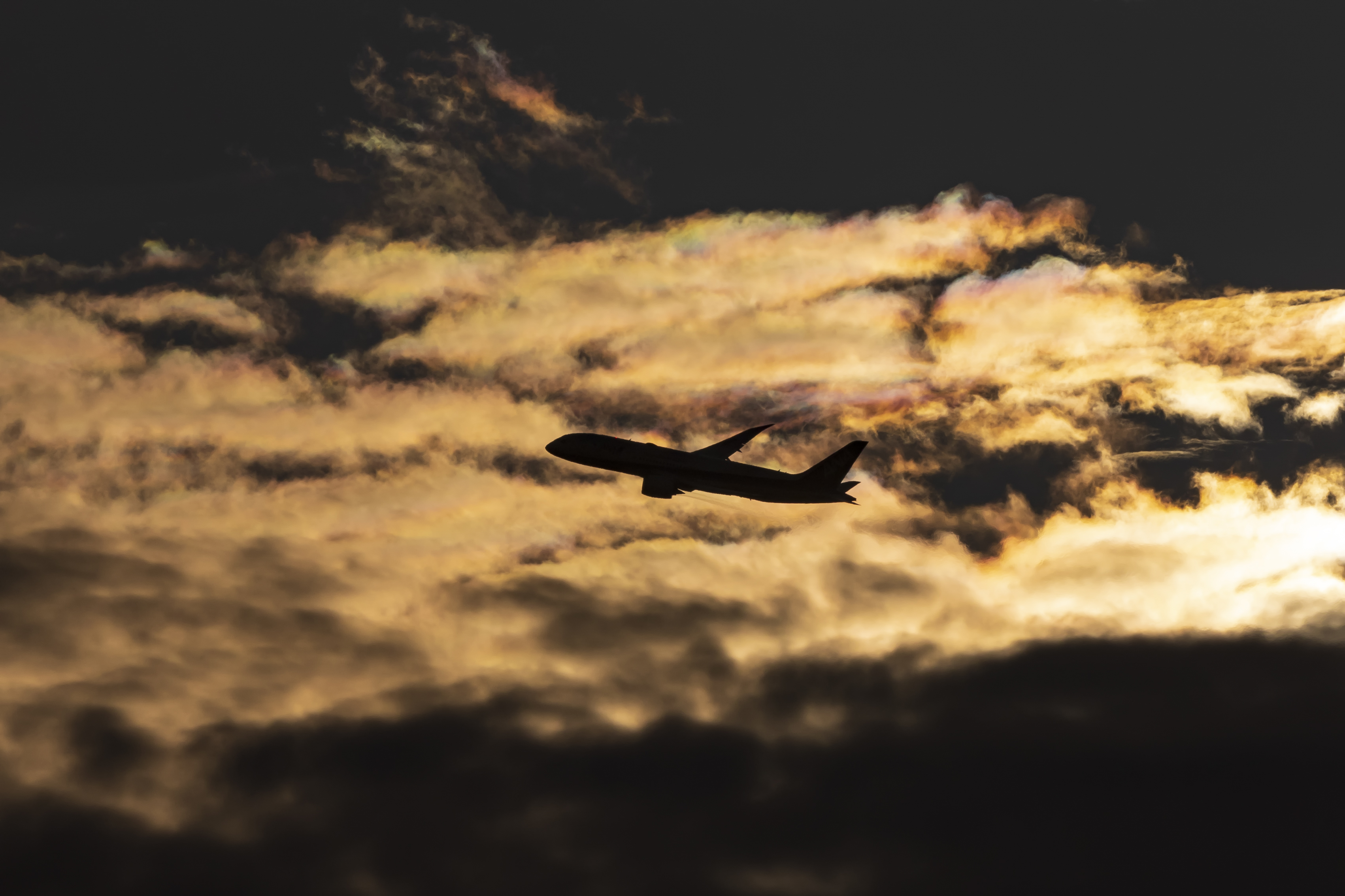 EOS R3／RF400mm F2.8 L IS USM（クロップ）／絞り優先AE（1/8,000秒・F16・-2.3EV）／ISO 500