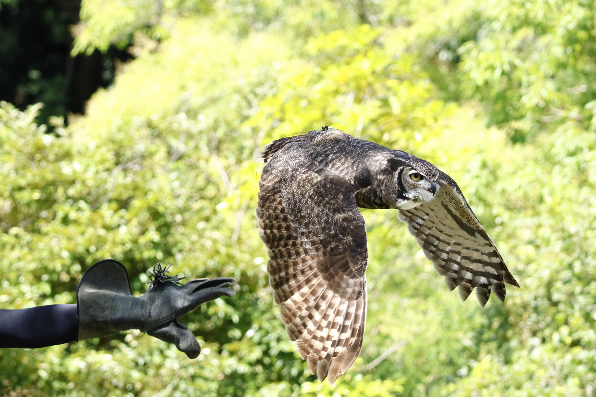シャッタータイミング