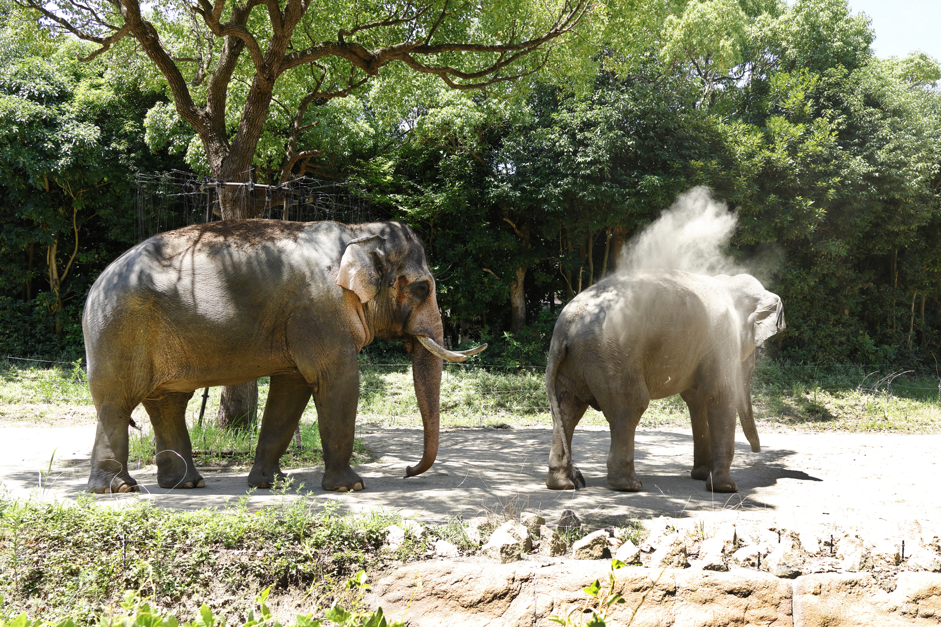 RF-S18-150mm F3.5-6.3 IS STM／24mm（38mm相当）／マニュアル露出（F5.6、1/125秒）／ISO 100／ WB：オート