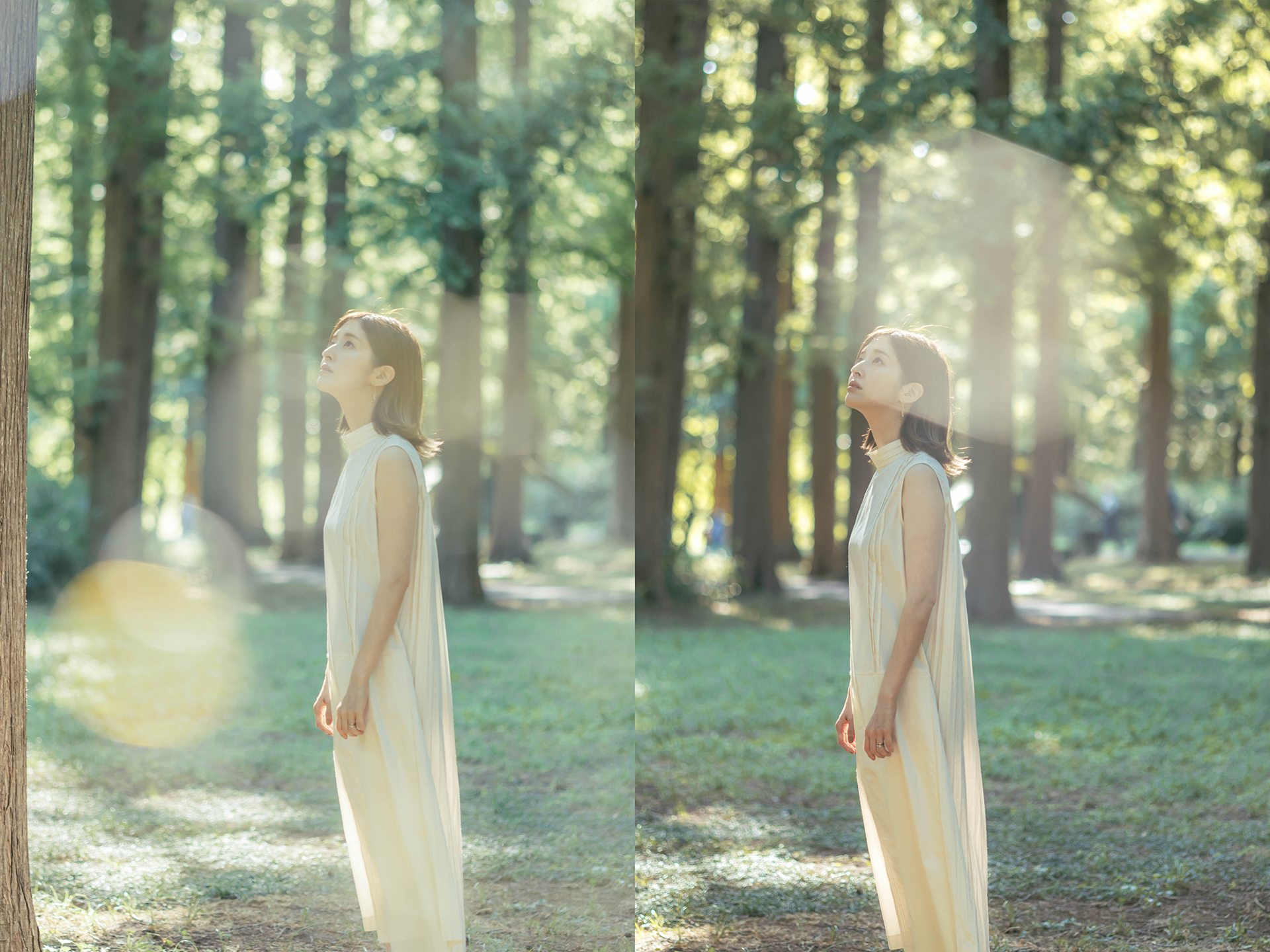 上の写真のように前ボケが顔にかかることが多いが、連写しているコマから、顔にかからない瞬間の写真をセレクトする