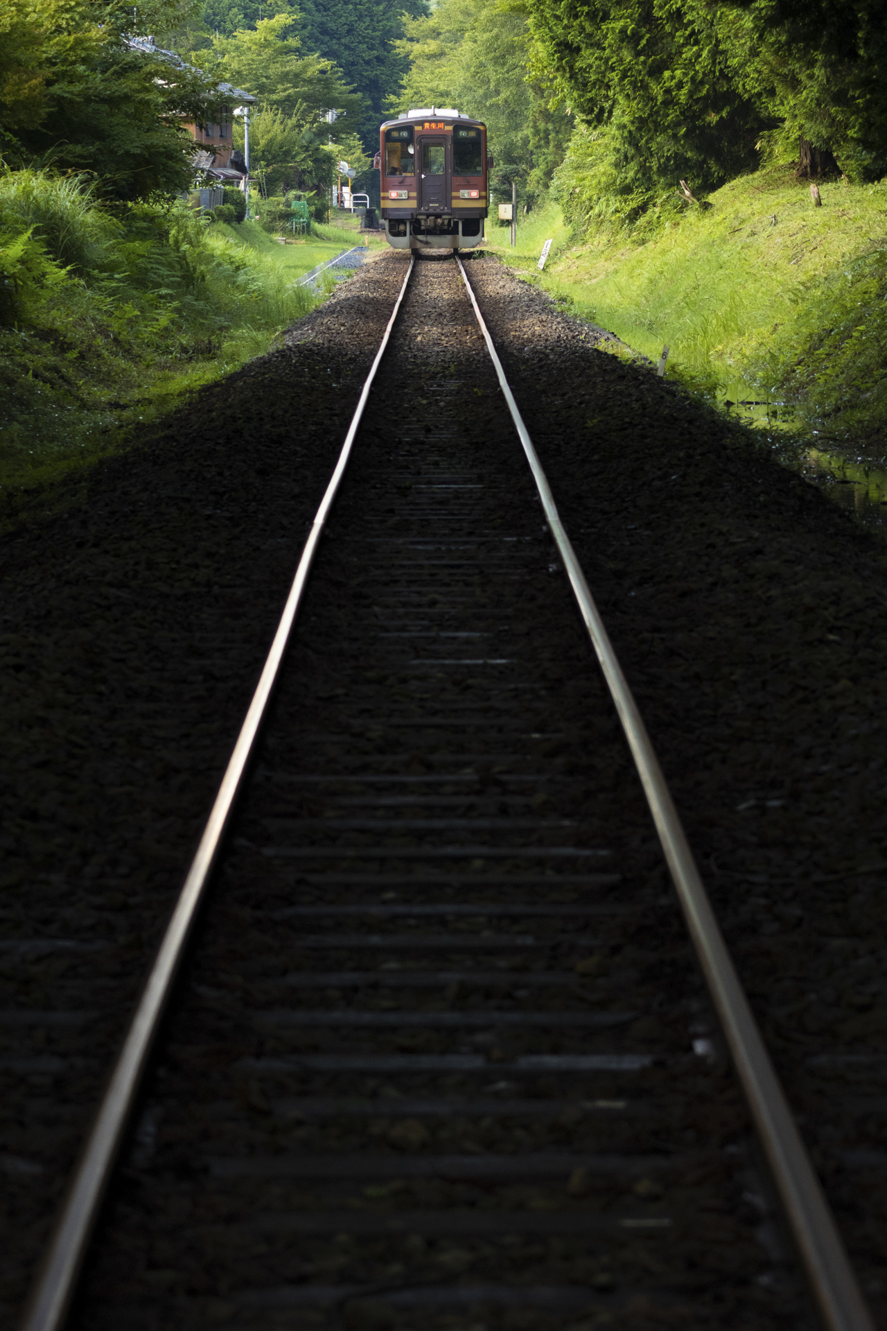 真夏の日差しに陽炎が出る中、踏切を過ぎた車両をAF追従で撮影したが、輝度差があるにも関わらずAFに迷いはなく、ハイライトからシャドウ部に浮かび上がる線路までを見事に描写した<br><span class="fnt-85">RF100-400mm F5.6-8 IS USM／100mm（160mm相当）／マニュアル露出（F6.3、1/200秒）／ISO 640／WB：オート</span>