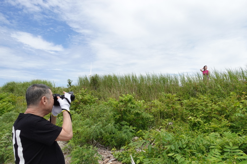 酒田市の日本海沿いの土手