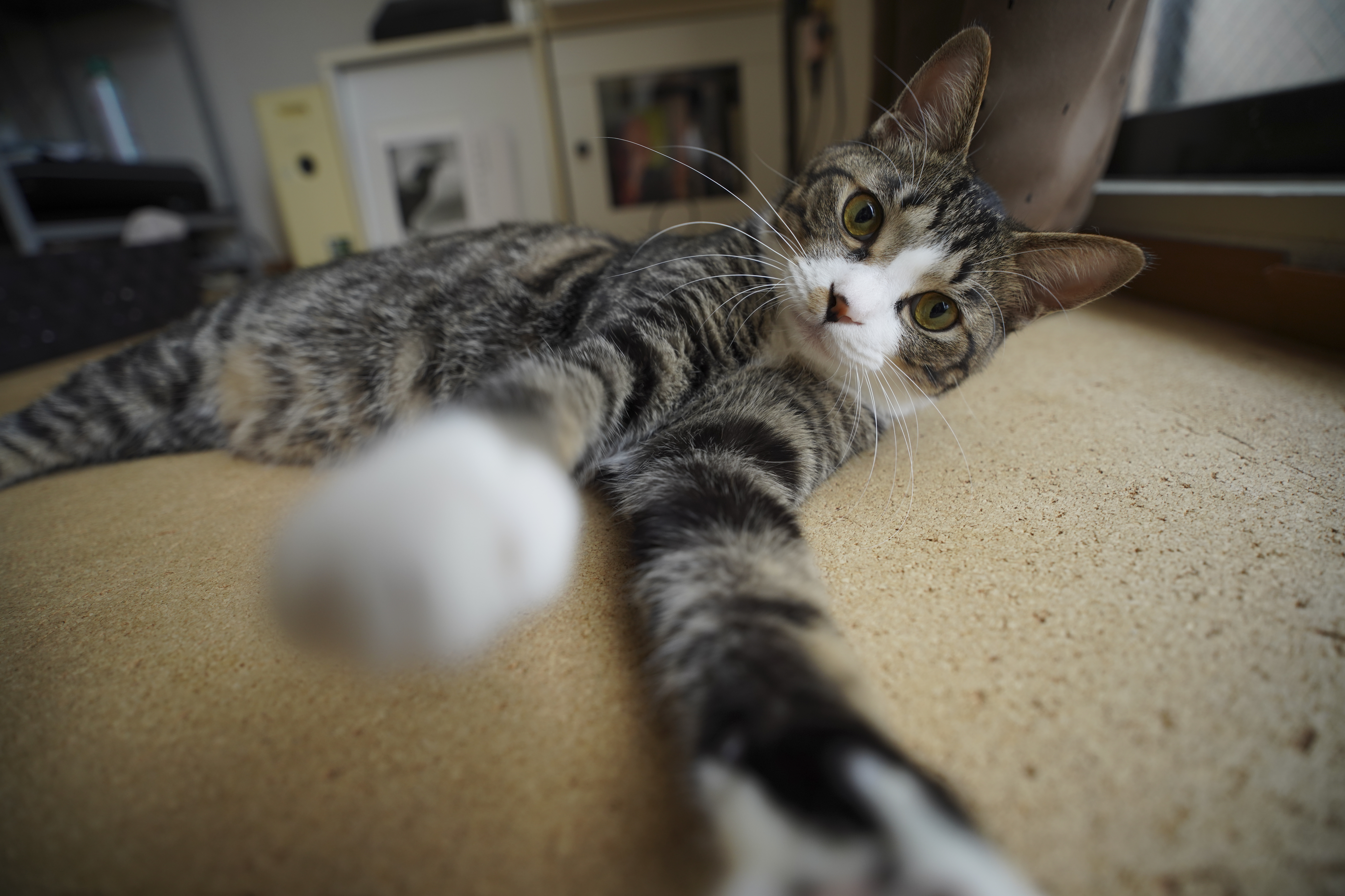 α7R IV／SIGMA 16-28mm F2.8 DG DN | Contemporary／16mm／絞り優先（1/80秒・F2.8・±0.0EV）／ISO 400