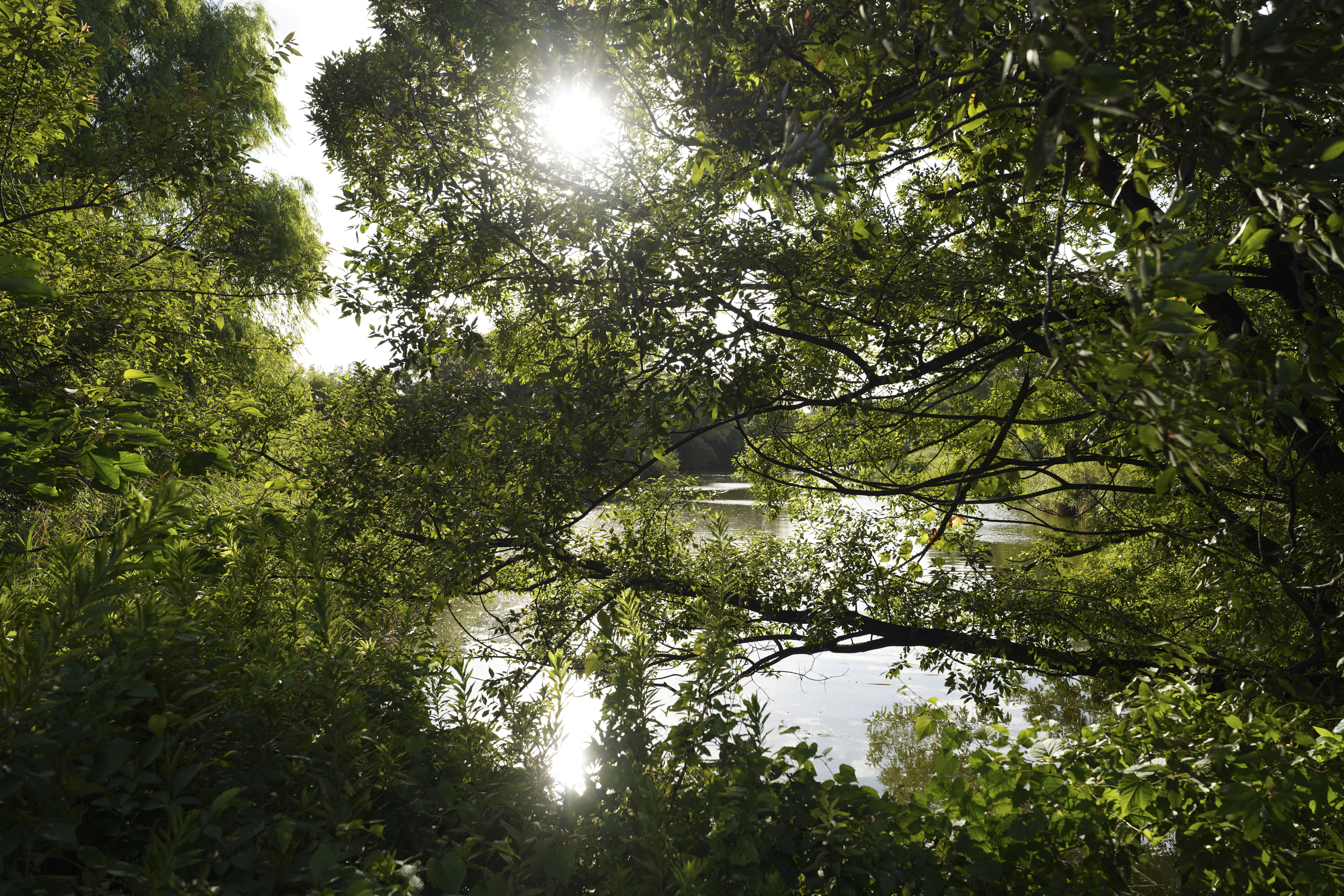 α7R IV／SIGMA 16-28mm F2.8 DG DN | Contemporary／25.5mm／絞り優先（1/250秒・F5.6・-0.3EV）／ISO 100