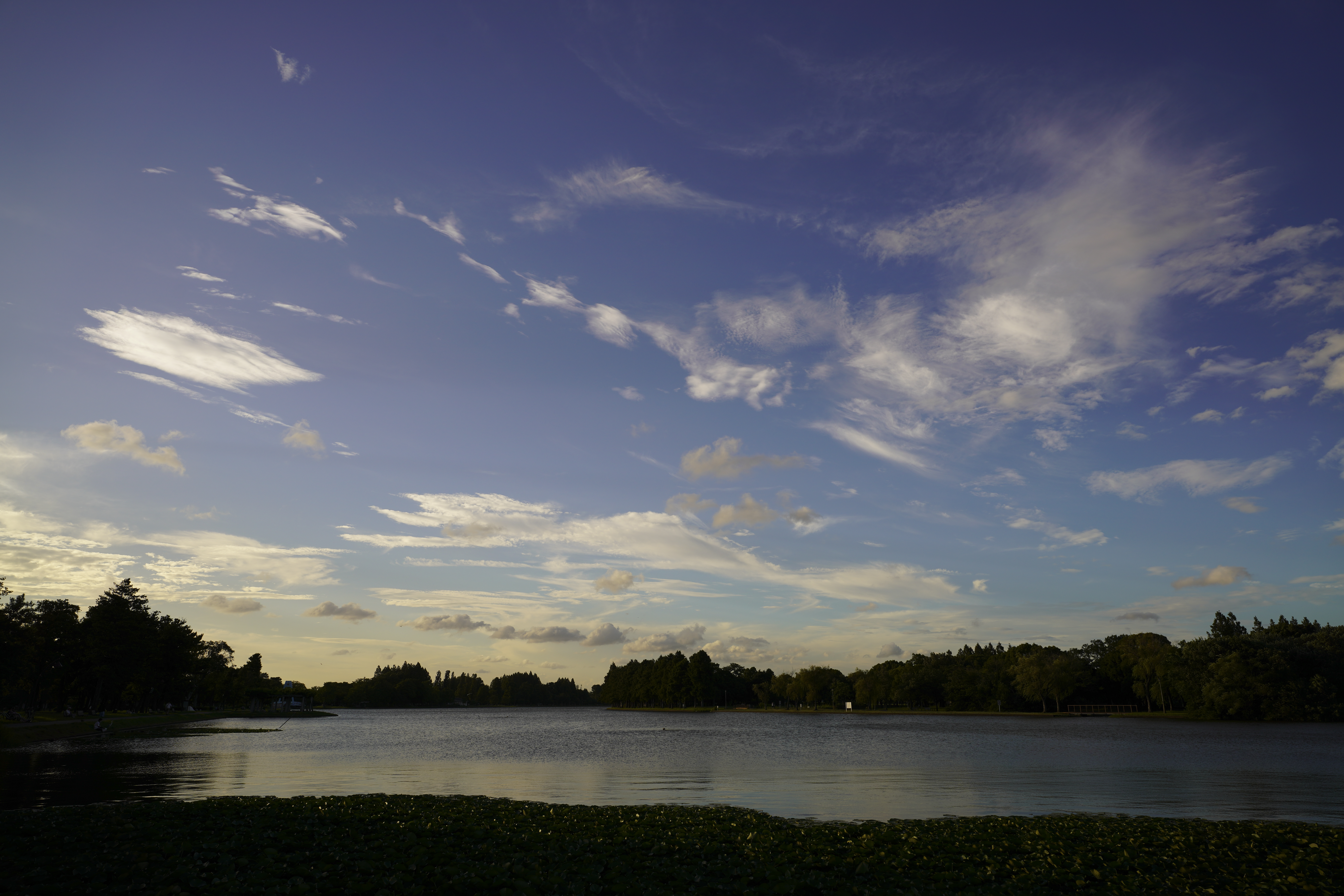 α7R IV／SIGMA 16-28mm F2.8 DG DN | Contemporary／21.8mm／絞り優先（1/400秒・F8.0・-0.3EV）／ISO 100