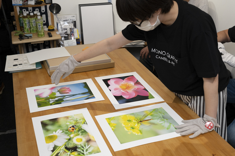 コムロさんはまず作品の並びを決めた。この作品では田の字型をチョイス