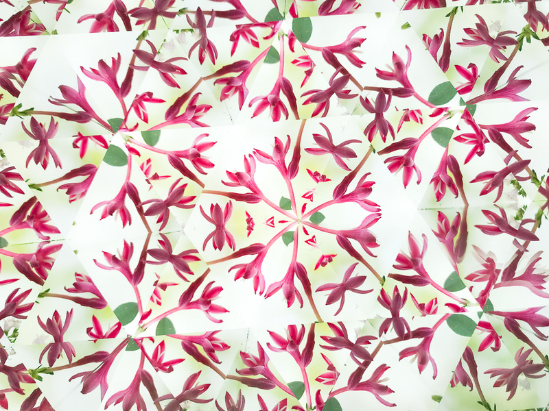 iPhoneにガラス製表面反射鏡を着けて撮影