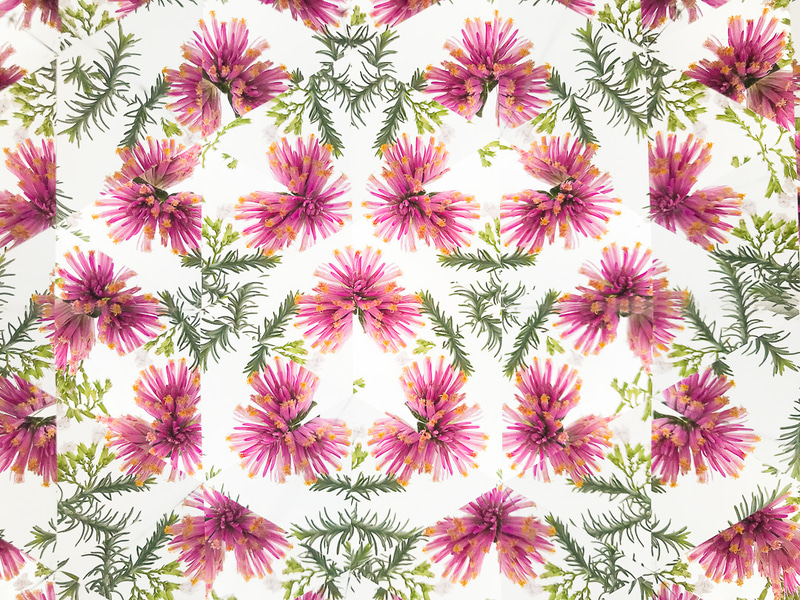 歪みのないクリアな写り。iPhone＋ガラスミラー