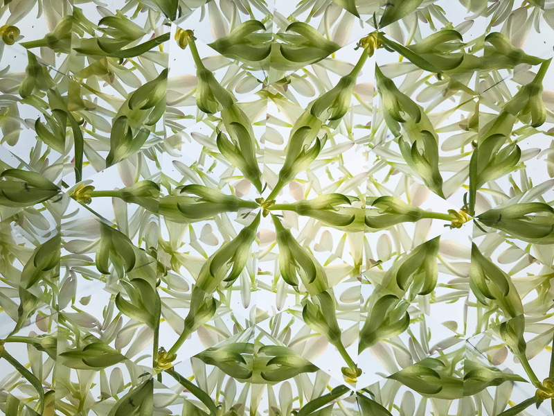 iPhone＋ガラスミラー