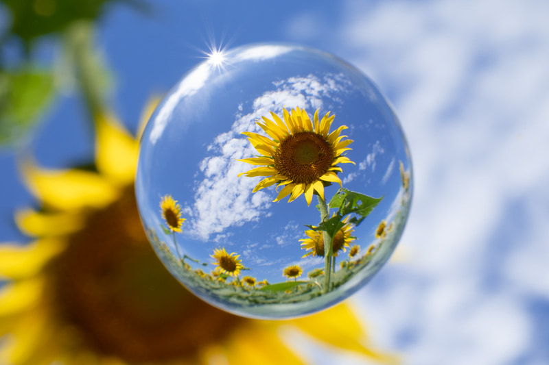 この夏の暑さを宙玉の中に閉じ込めてみた。OM SYSTEM OM-1＋M.ZUIKO DIGITAL 17mm F1.8＋ZENJIX Soratama Lensball Filter