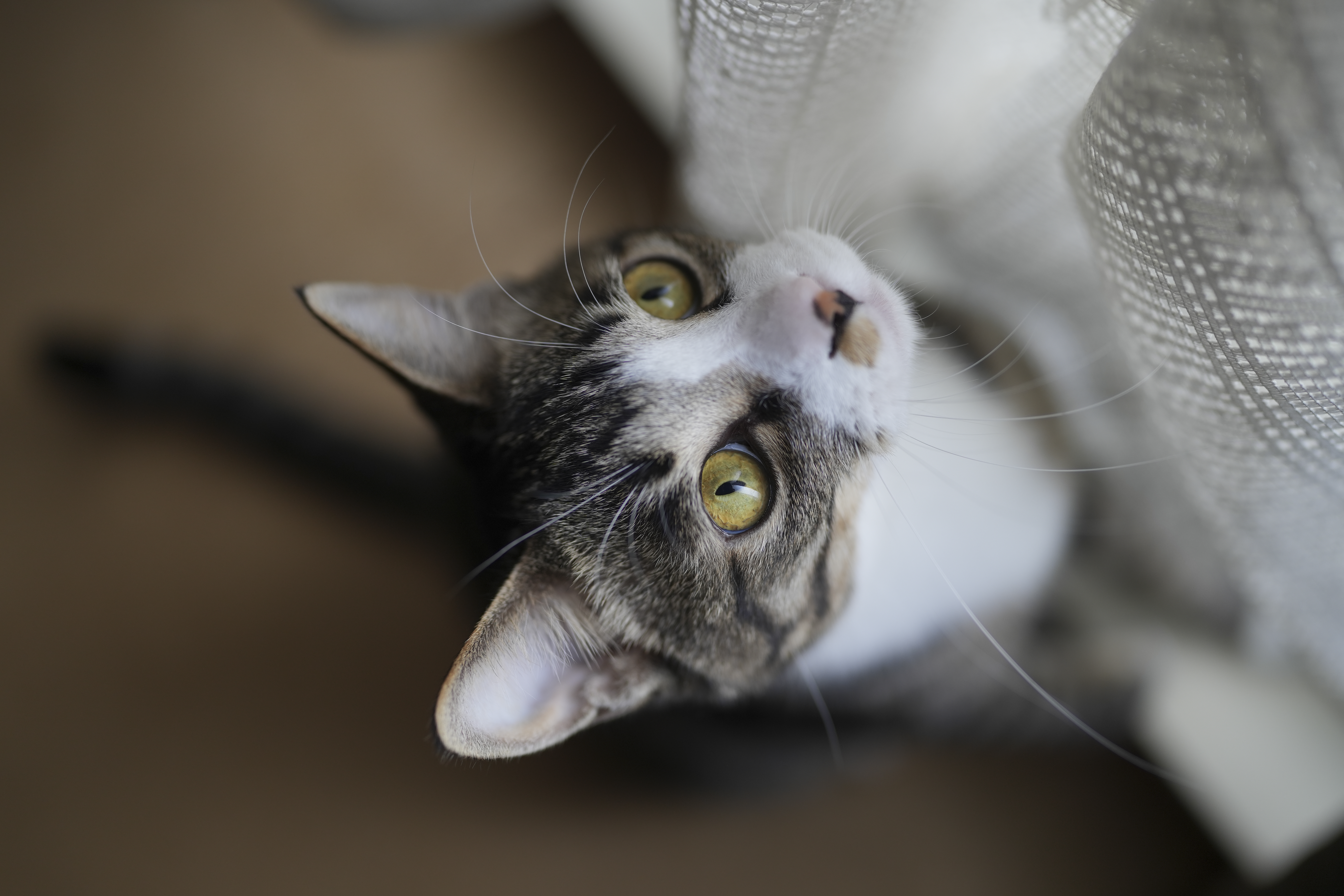 α7 IV／FE 35mm F1.4 GM／絞り優先（1/400秒・F1.4・-0.3EV）／ISO 200