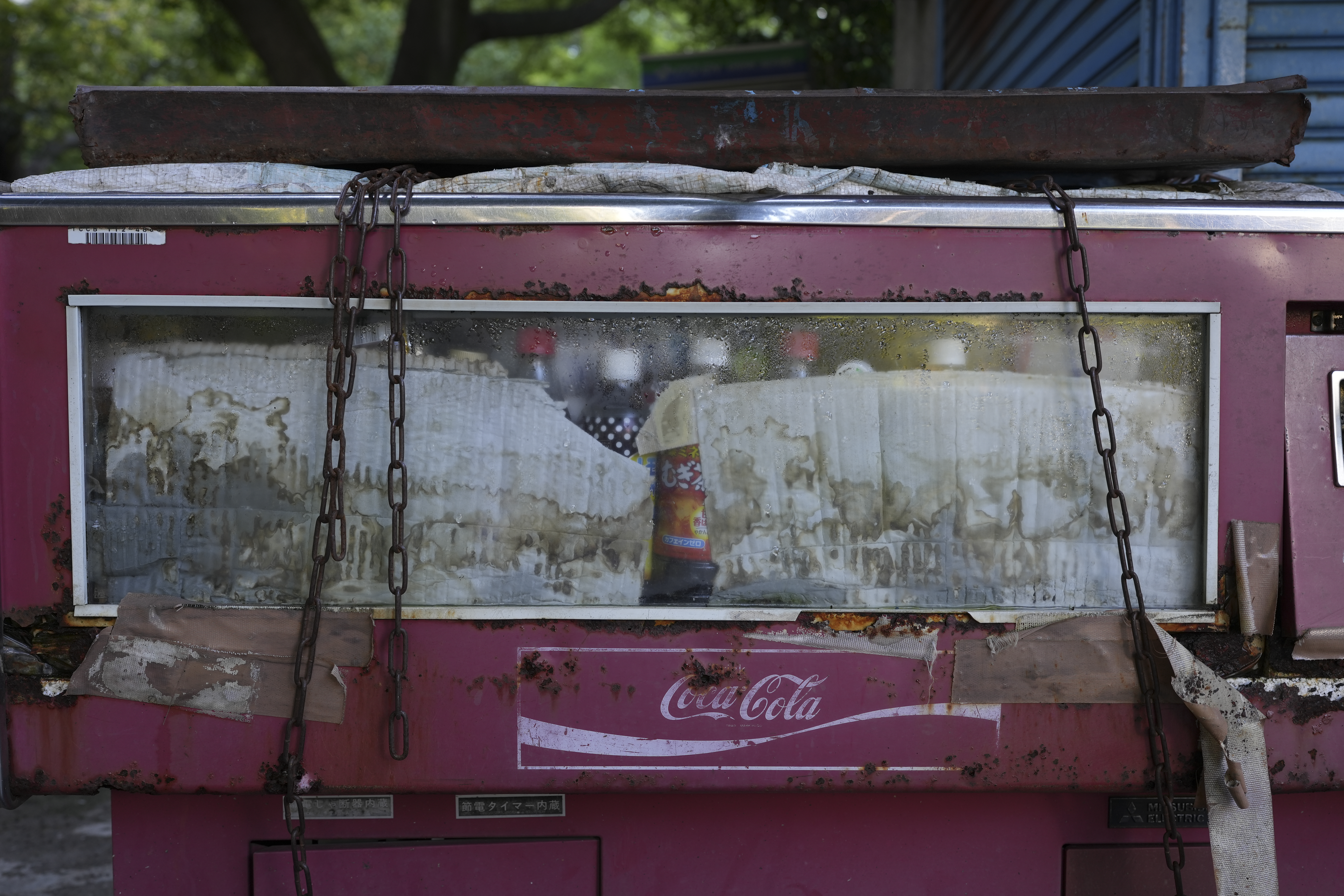 α7 IV／FE 35mm F1.4 GM／絞り優先（1/50秒・F4.0・-0.3EV）／ISO 200