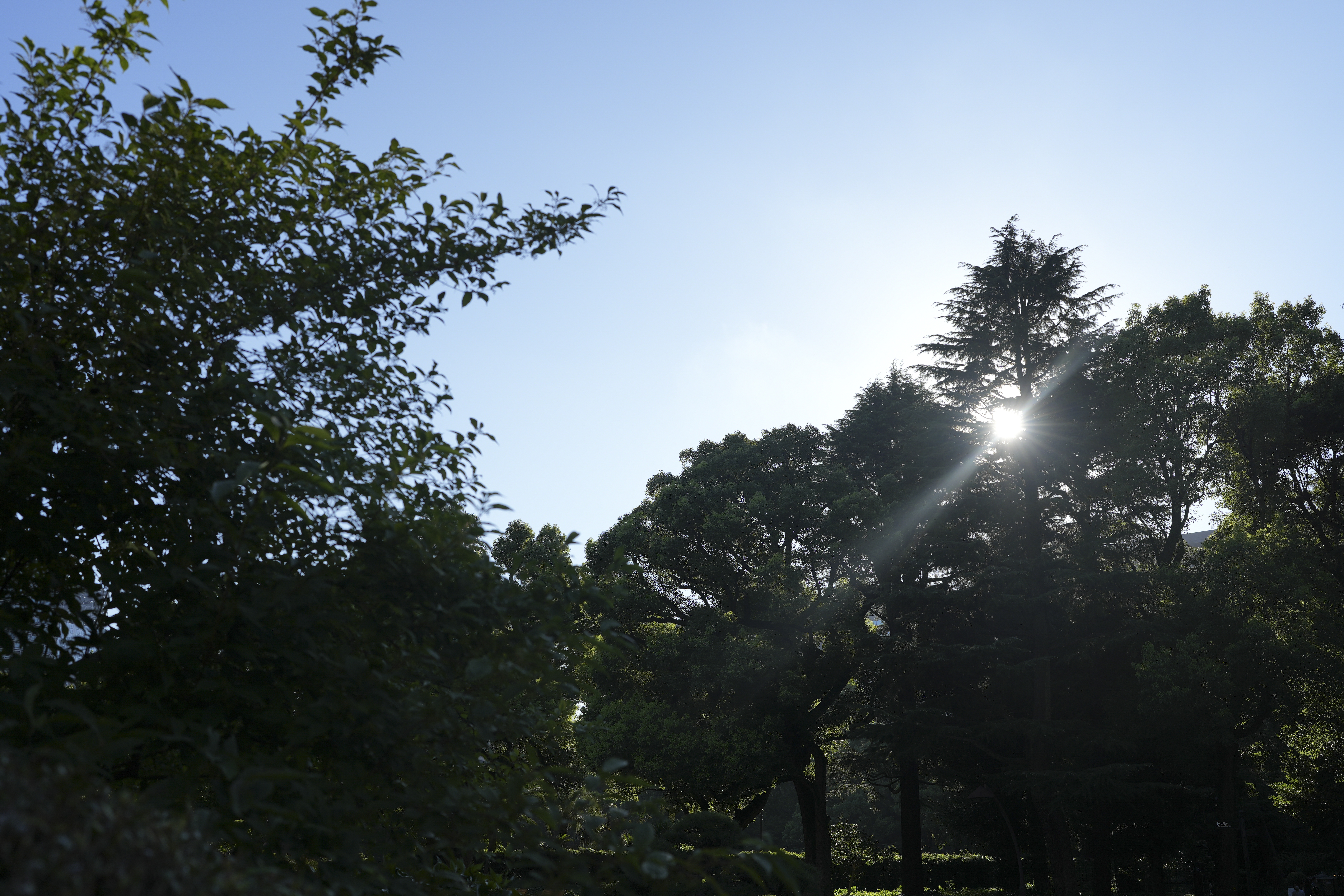 α7 IV／FE 35mm F1.4 GM／絞り優先（1/50秒・F4.0・-0.3EV）／ISO 200